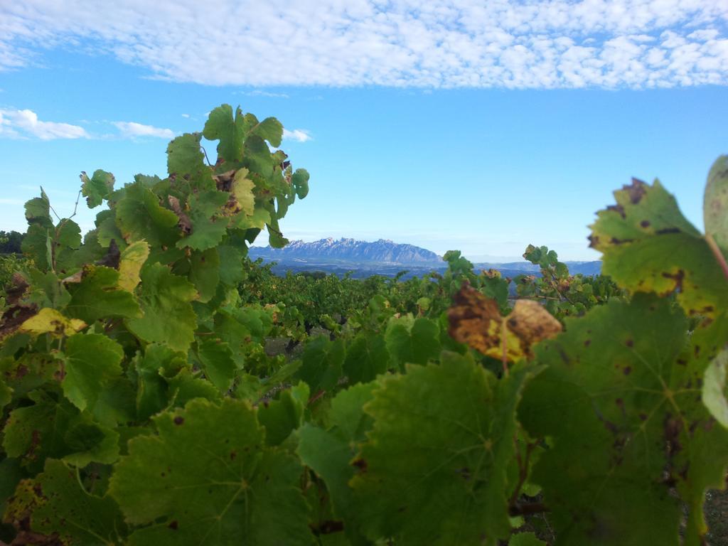 Agroturisme Cal Jeroni Avinyonet del Penedes Bagian luar foto