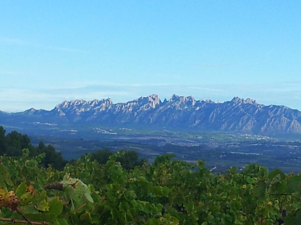 Agroturisme Cal Jeroni Avinyonet del Penedes Bagian luar foto