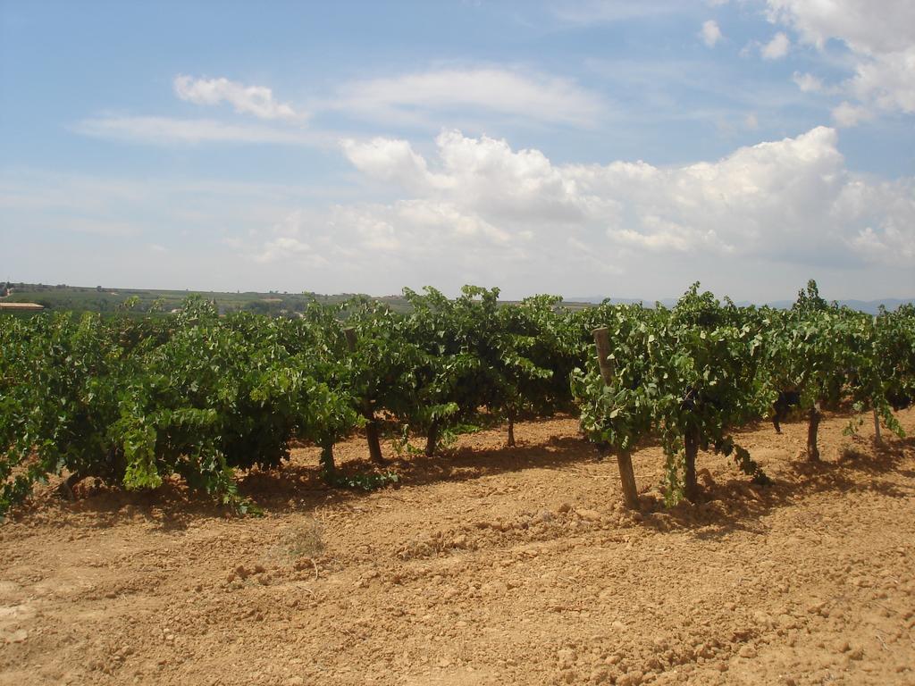 Agroturisme Cal Jeroni Avinyonet del Penedes Bagian luar foto